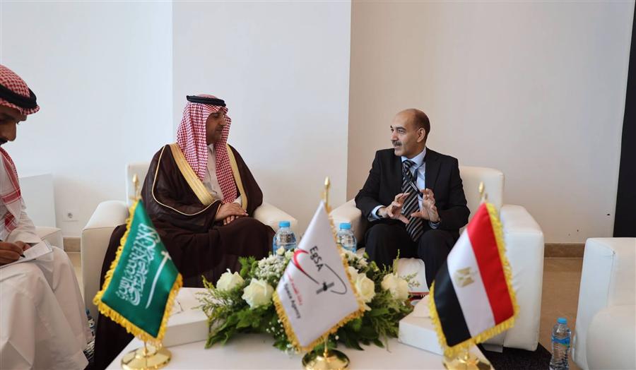 Egypt, Saudi Arabia outline plan to build 1st joint satellite